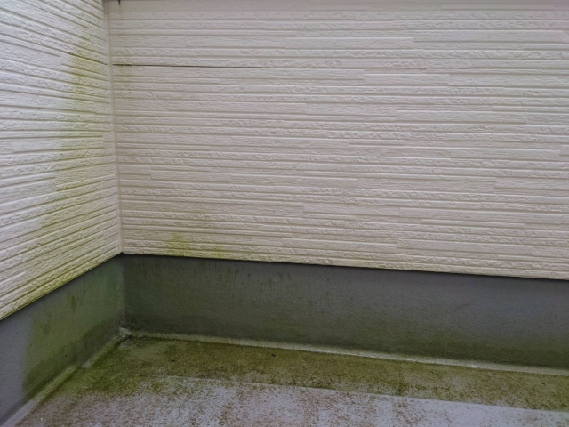 広島　外壁塗装　カビ　緑カビ