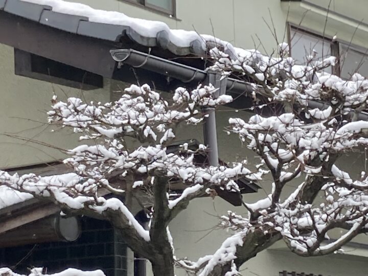 広島市安佐南区　T様邸　縦樋補修工事